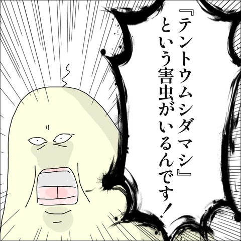 A2027C4C-FCF2-4A8D-A35D-E97B9024628E