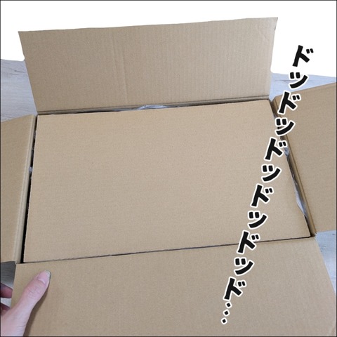 C3E9B2E9-3F3B-4D9F-98CC-38DB611B72ED