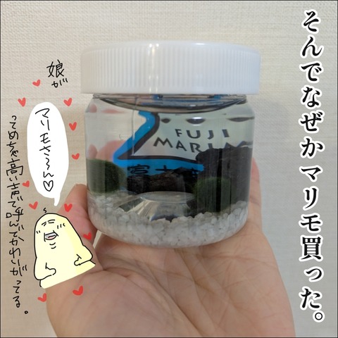 CF653D27-D3A4-4537-A4B1-EF2BD59A6499
