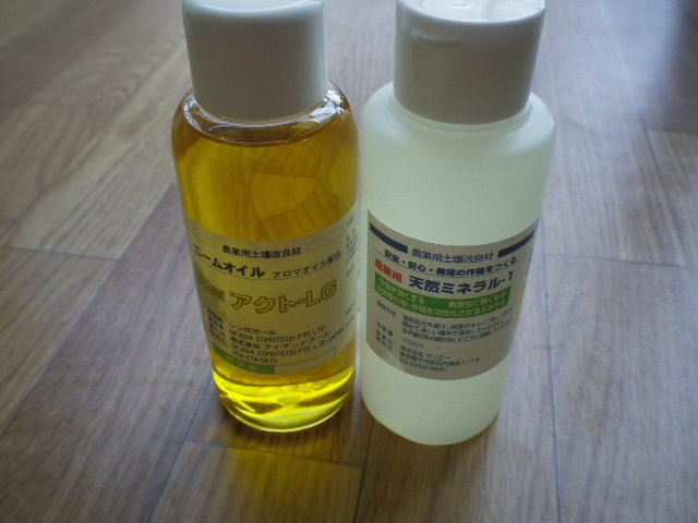 コバエ大発生 新しいニームオイル投入 その効果は Hybrid Force