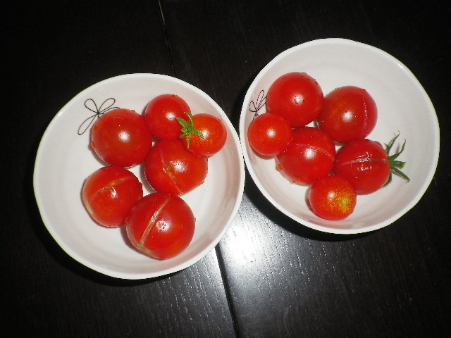 もうすぐ終了のミニトマト レジナ 実割れの多いリトルサマーキッス Hybrid Force