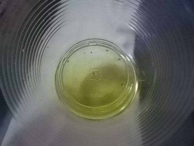 続 コバエ対策 Hybrid Force