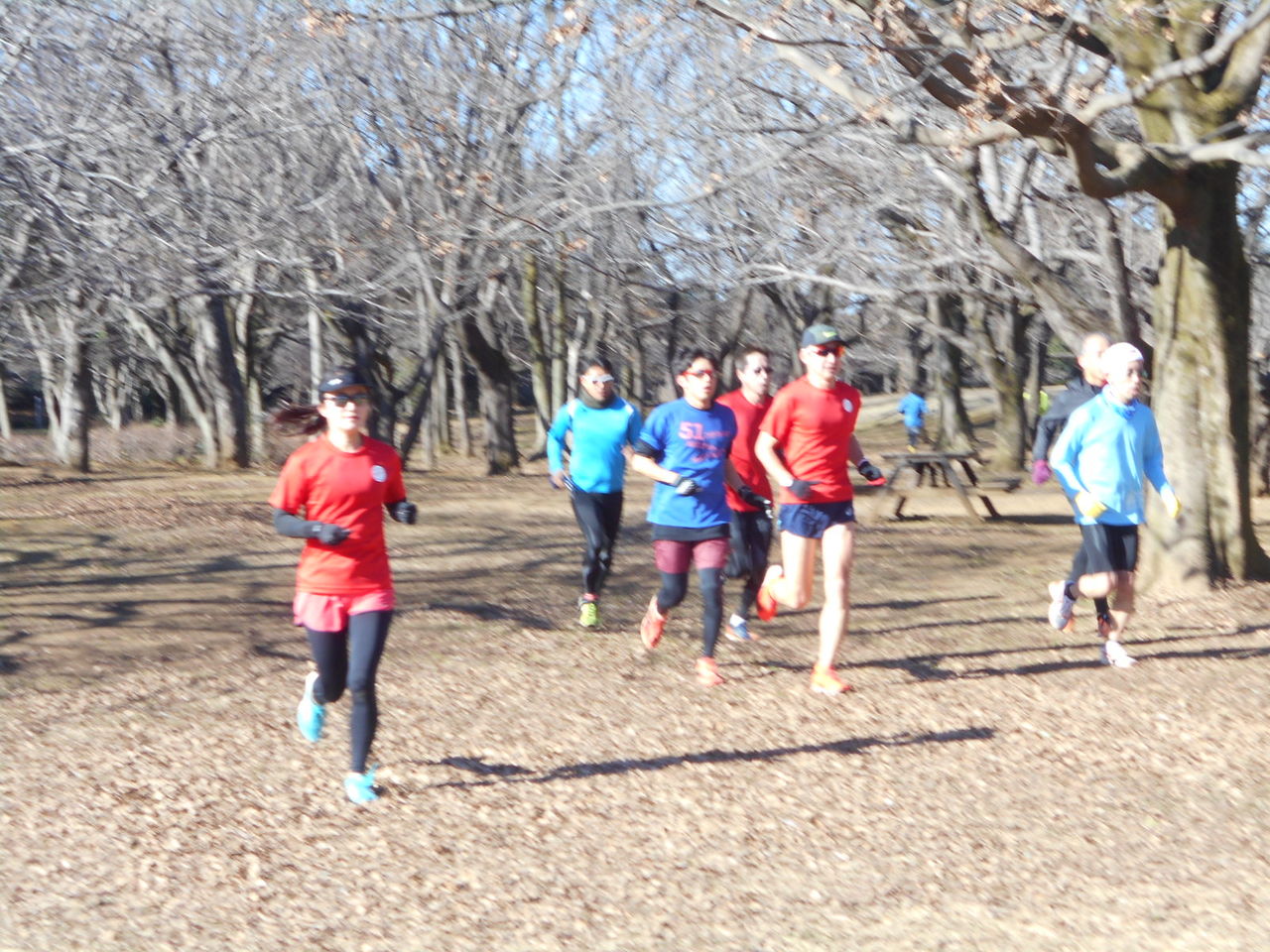 メニュー 柏ランニング練習会 レクチャー 5 13日曜 ニッポンランナーズ 柏の葉 メニュー 柏ランニング練習会 レクチャー 5 13日曜 ニッポンランナーズ 柏の葉