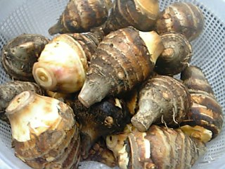 秋の食材 海老芋 えびいも 若女将の四季折々日記 秋の食材 海老芋 えびいも 若女将の四季折々日記