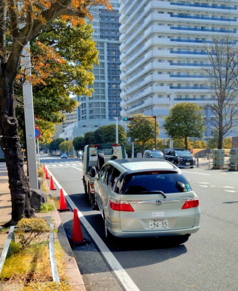 thumbnail_IMG20250322092723