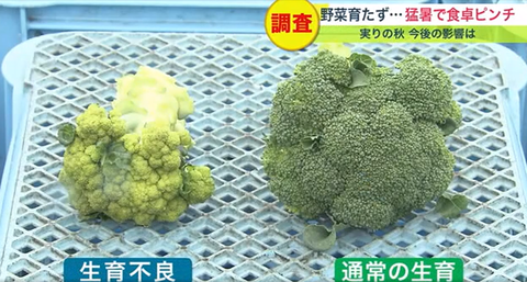 スクリーンショット (38)