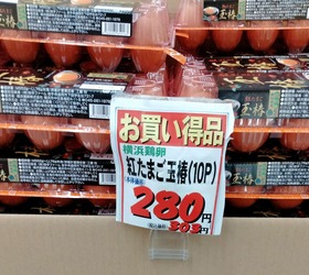 thumbnail_IMG20231211115127