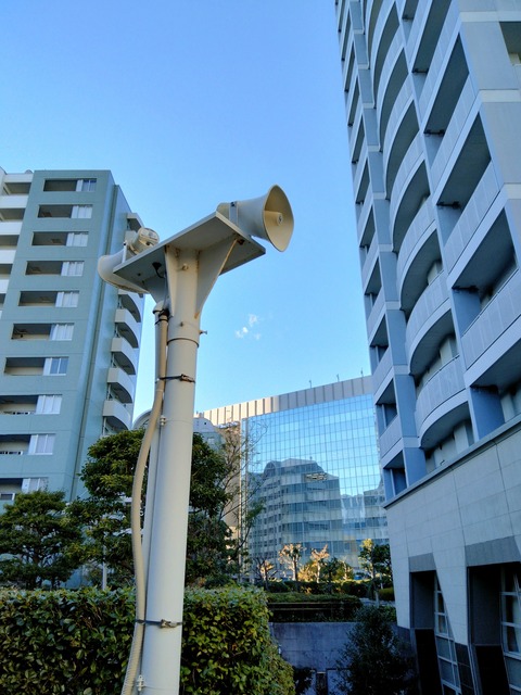 thumbnail_IMG20241130145714