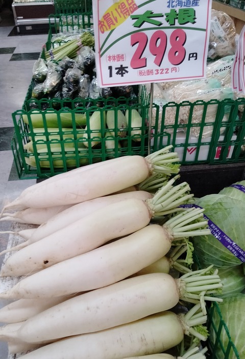 thumbnail_IMG20230919124938