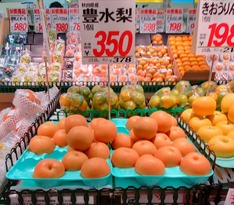 thumbnail_IMG20241005102555