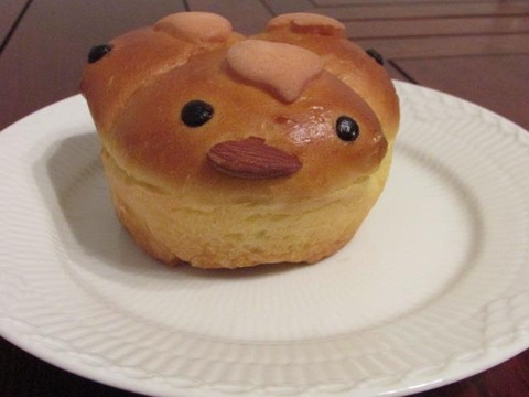 464834521_8608900255843384_7724682007044958004_n