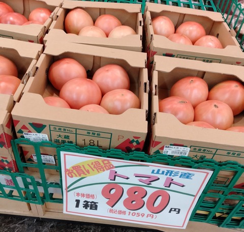 thumbnail_IMG20230919125013