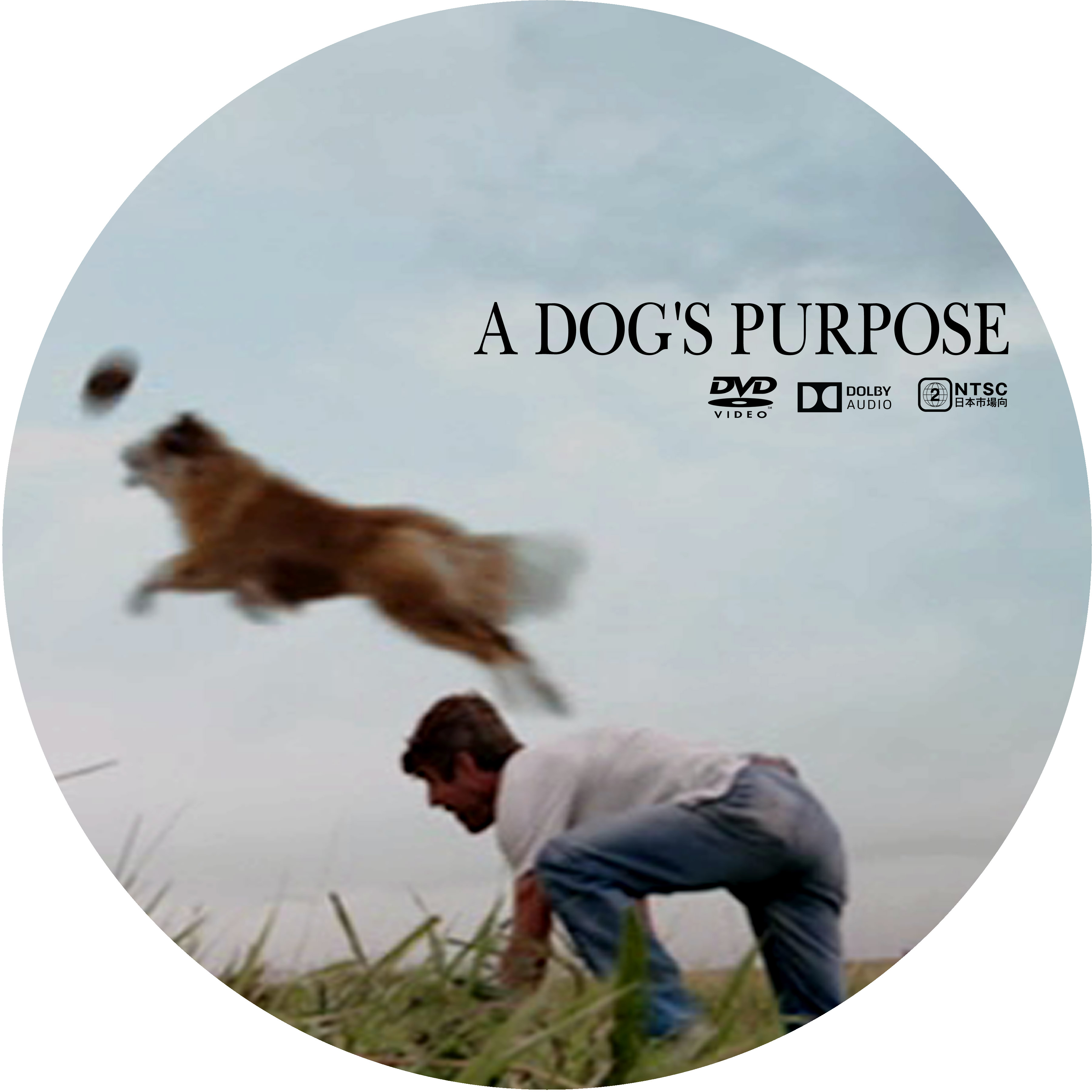 僕のワンダフル ライフ A Dog S Purpose ドサ月記 Livedoor Evolution 僕のワンダフル ライフ A Dog S Purpose ドサ月記 Livedoor Evolution