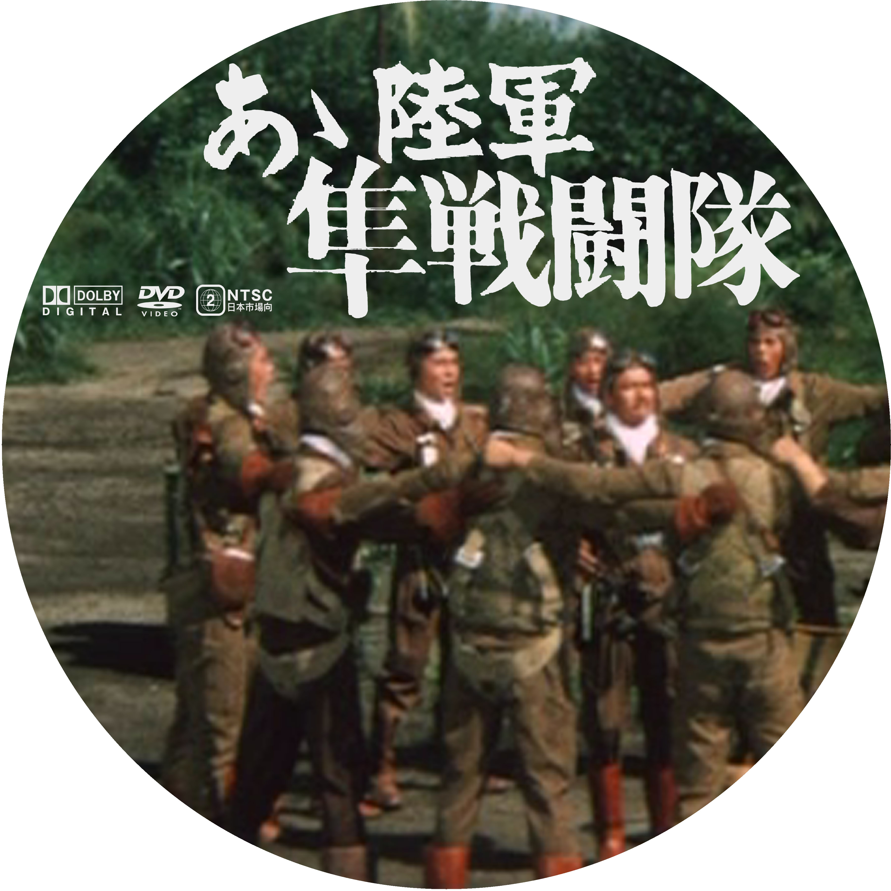 特別セーフ あゝ陸軍~隼戦闘隊 '69大映 mandhucollege.edu.mv