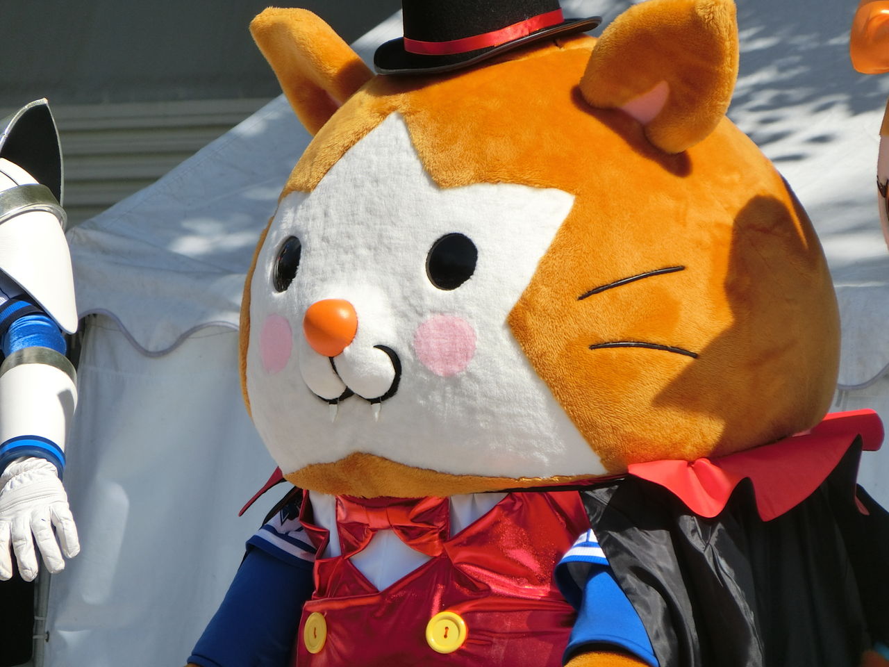 Dbスターマン 出身は横浜生まれ横浜育ち これ メジャーリーグまとめ Dbスターマン 出身は横浜生まれ横浜育ち これ メジャーリーグまとめ
