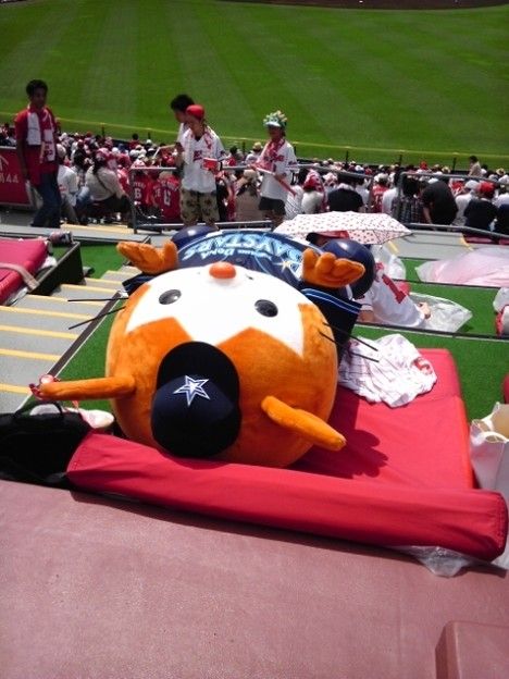 Dbスターマン 出身は横浜生まれ横浜育ち これ メジャーリーグまとめ Dbスターマン 出身は横浜生まれ横浜育ち これ メジャーリーグまとめ