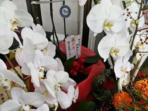 newtenpo_open_08