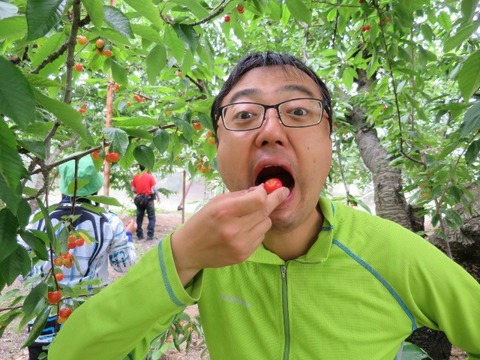 16cherry_034