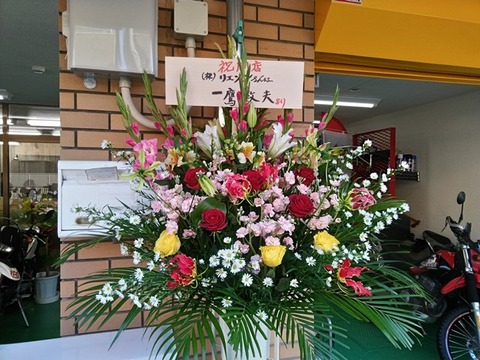 newtenpo_open_04