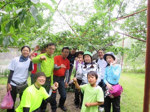 16cherry_050