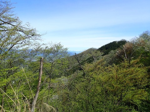 P4281003