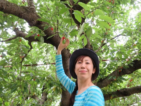 16cherry_033