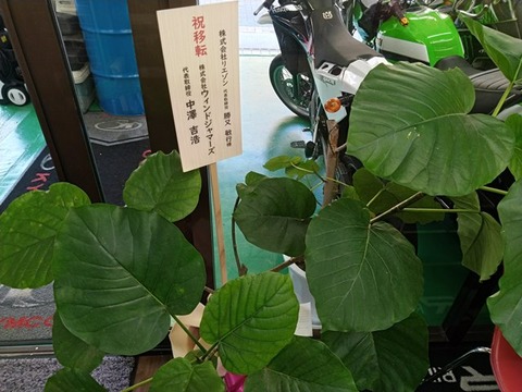 newtenpo_open_05
