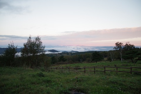 IMGP0537