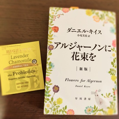 成長していく文体がすごい アルジャーノンに花束を ダニエル キイス ことばの雨