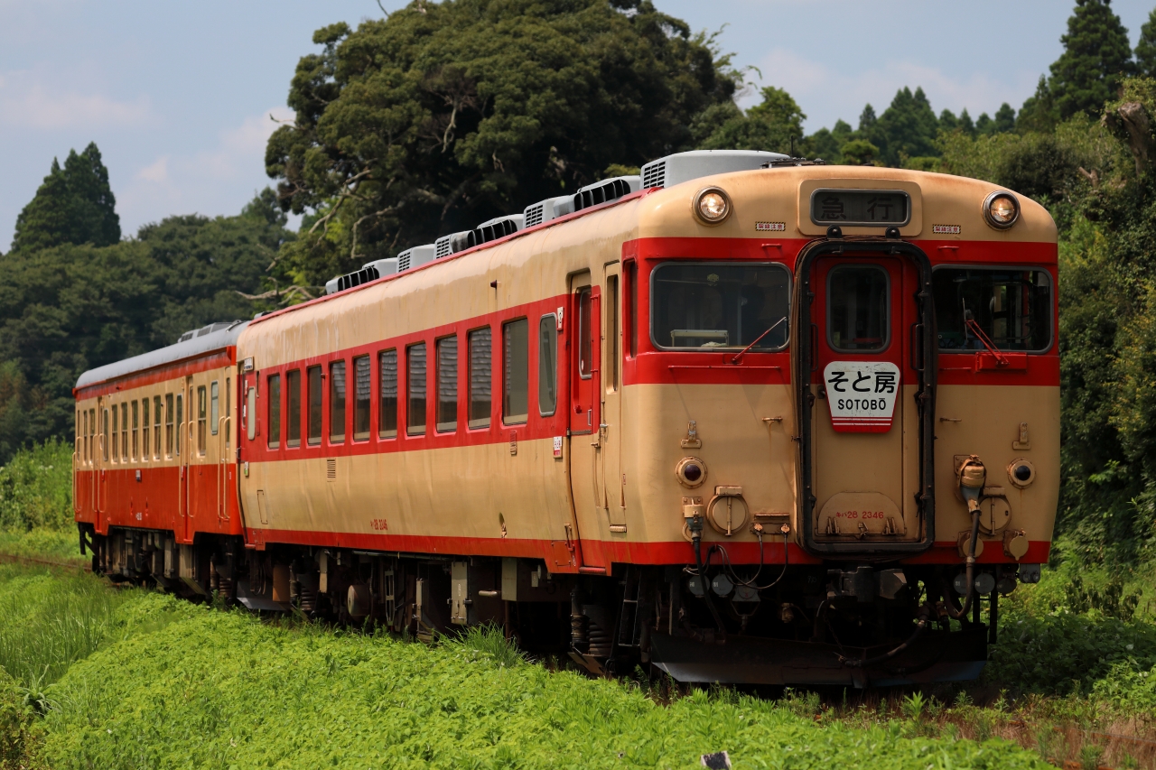 19 08 18 いすみ鉄道 キハ28 旅して撮る 19 08 18 いすみ鉄道 キハ28 旅して撮る