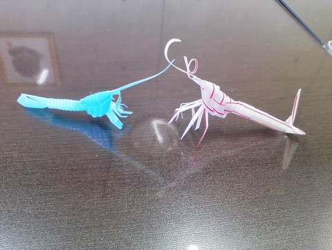 2019.5.17 ストローエビ