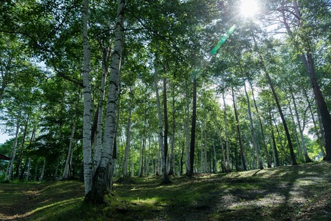 ameman170920008_TP_V