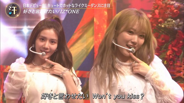 SukiIwa 190713019