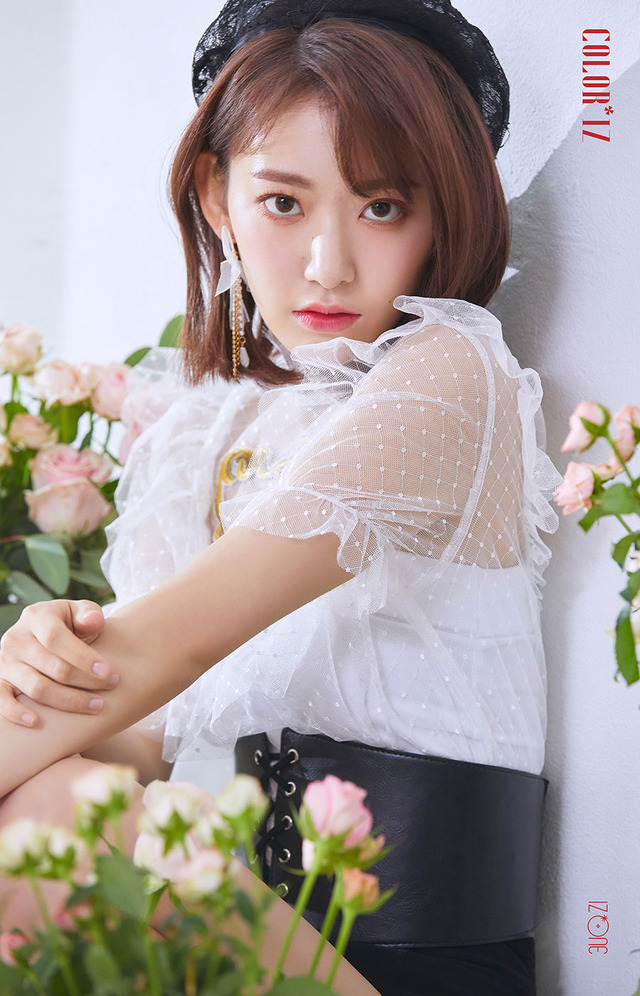 sakura album 20181021j