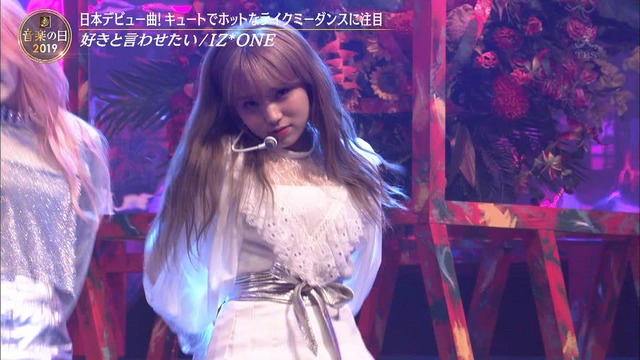 SukiIwa 190713004