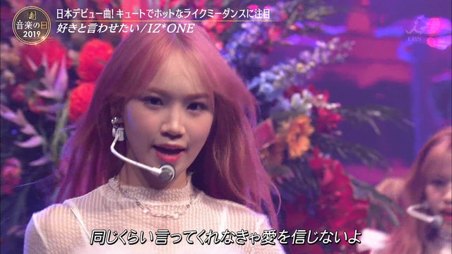 SukiIwa 190713027
