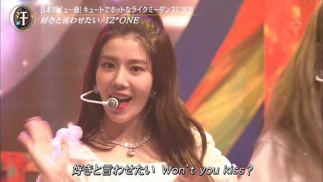 SukiIwa 190713018