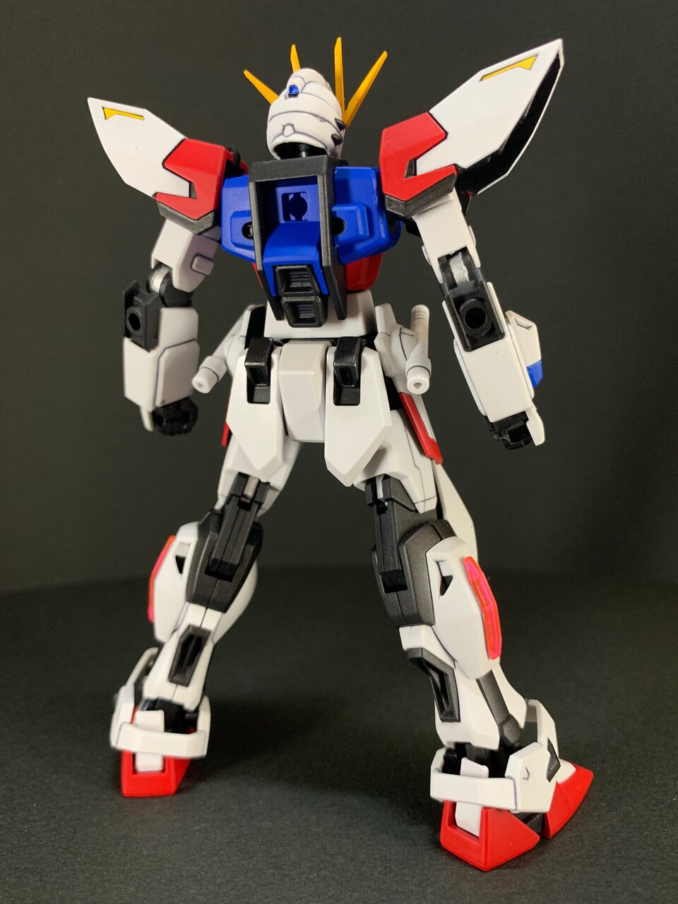 HG スタービルドストライク 完成 : 可能性のケダモノ