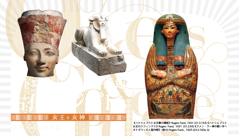 和暮らしがしたい ドタバタ 日々の器日記 展覧会 美術全般