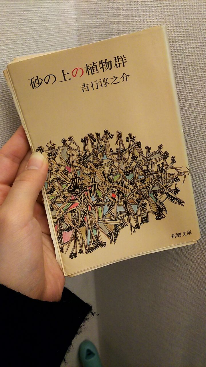 砂の上の植物群 Ayashiukosomonoguruhoshikere 31 砂の上の植物群 Ayashiukosomonoguruhoshikere 31