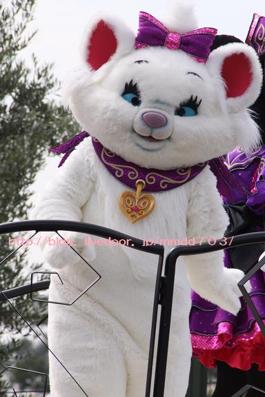 ハロウィンのマリーちゃん : Disneyパワー全開！
