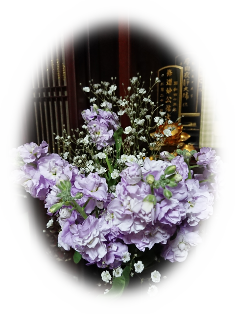 亡き妹の50回忌 原種チューリップの開花 バラの芽吹き 生き残ったオールドローズ 1 薔薇の香りに誘われて