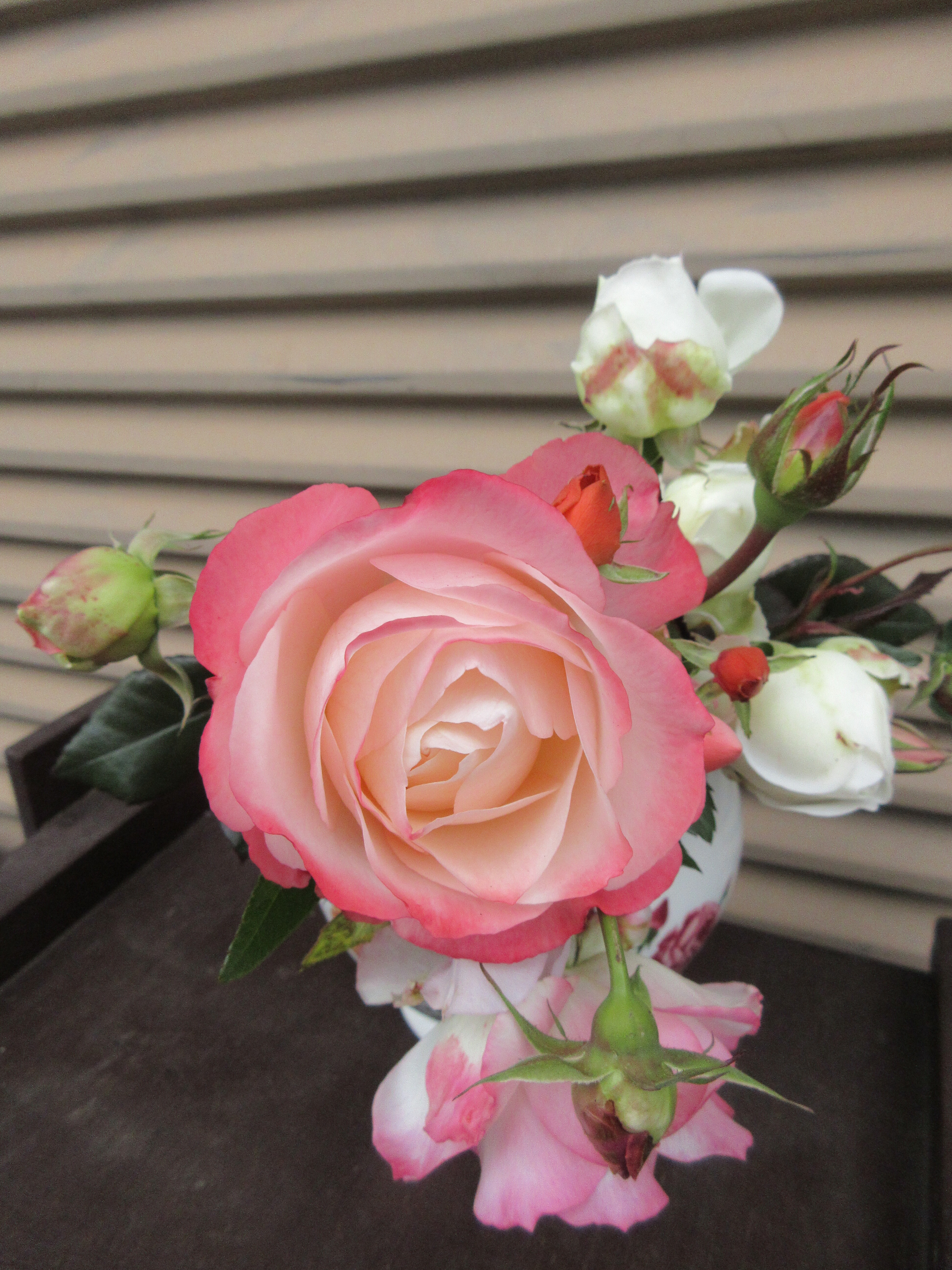 カットしたノスタルジー バラの1年を振り返って オールドローズ No 16 ラ レーヌ ヴィクトリア 薔薇の香りに誘われて