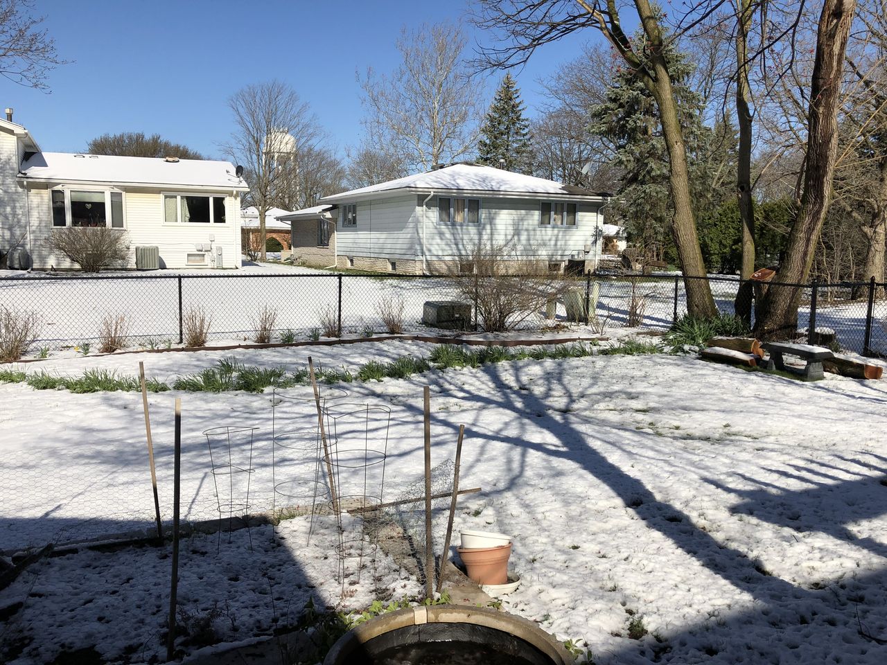 4月の雪 ミルトスの木かげで 4月の雪 ミルトスの木かげで