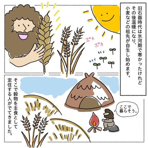 農業の歴史 農耕の始まりをイラストで分かりやすくまとめました 暮らし方研究所