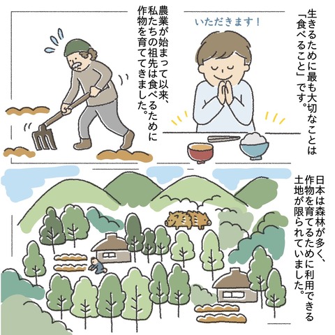 農業の歴史 農業の始まりと暮らしの変化をイラストでまとめました 暮らし方研究所 農業の歴史 農業の始まりと暮らしの変化をイラストでまとめました 暮らし方研究所
