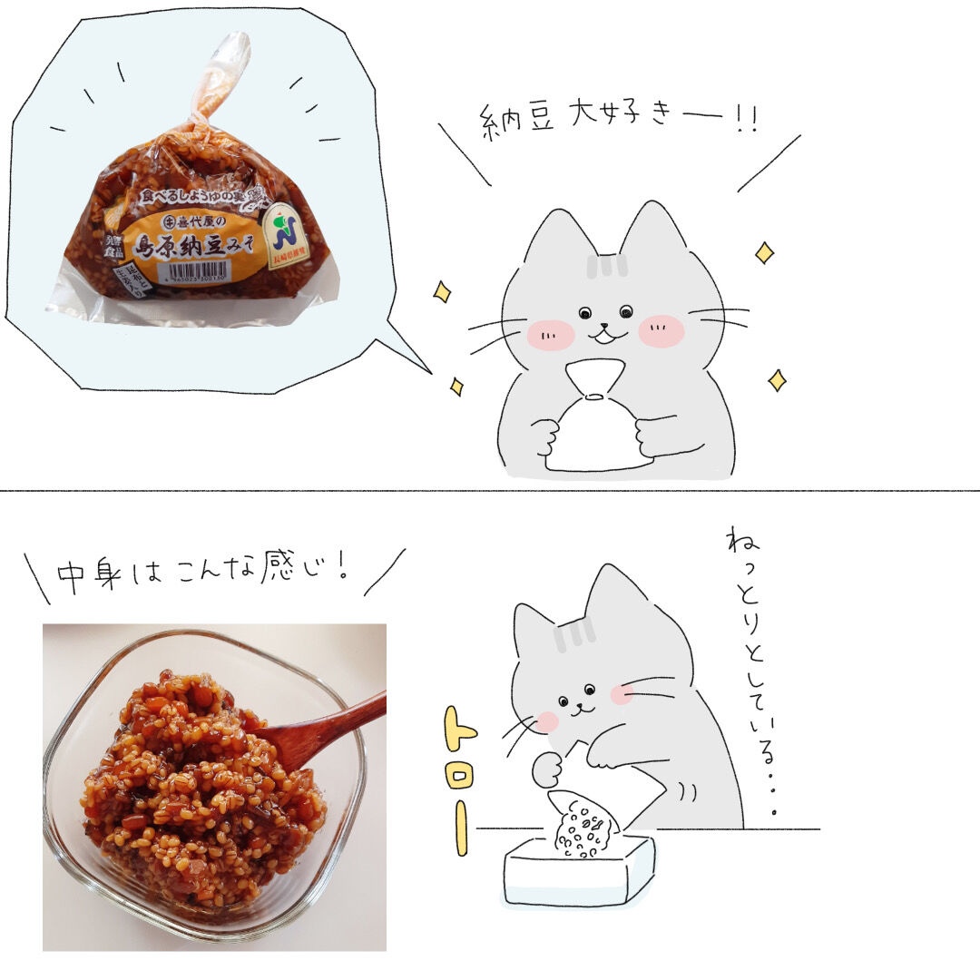 長崎名物 島原納豆みそ にハマってます 暮らし方研究所