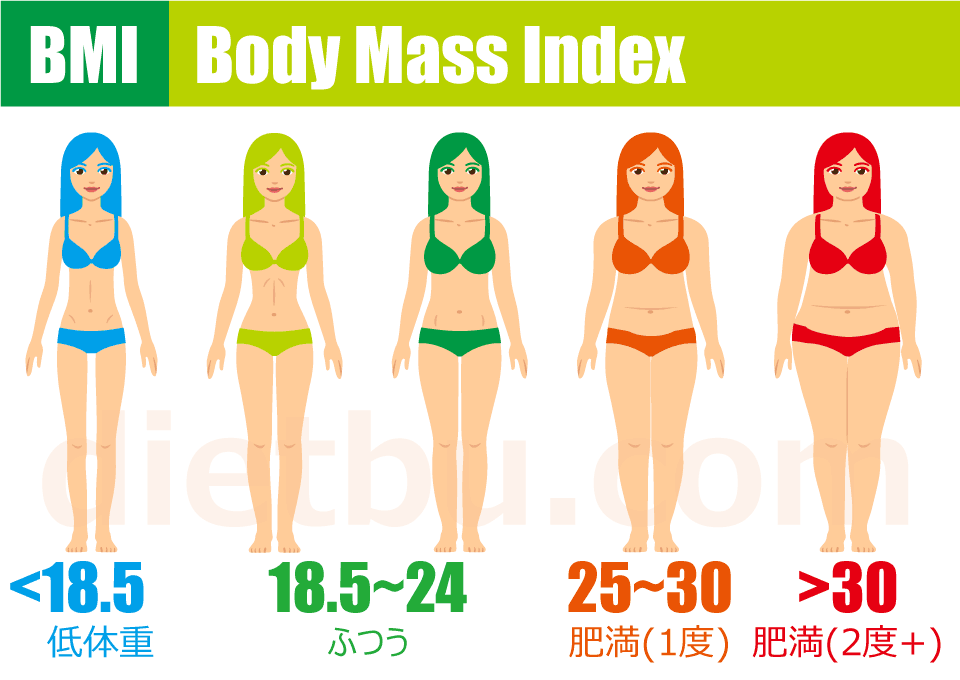 Bmi30 好きなことを好きなように書く日記
