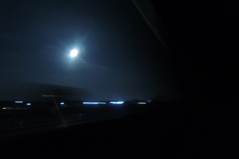 DSCN8471