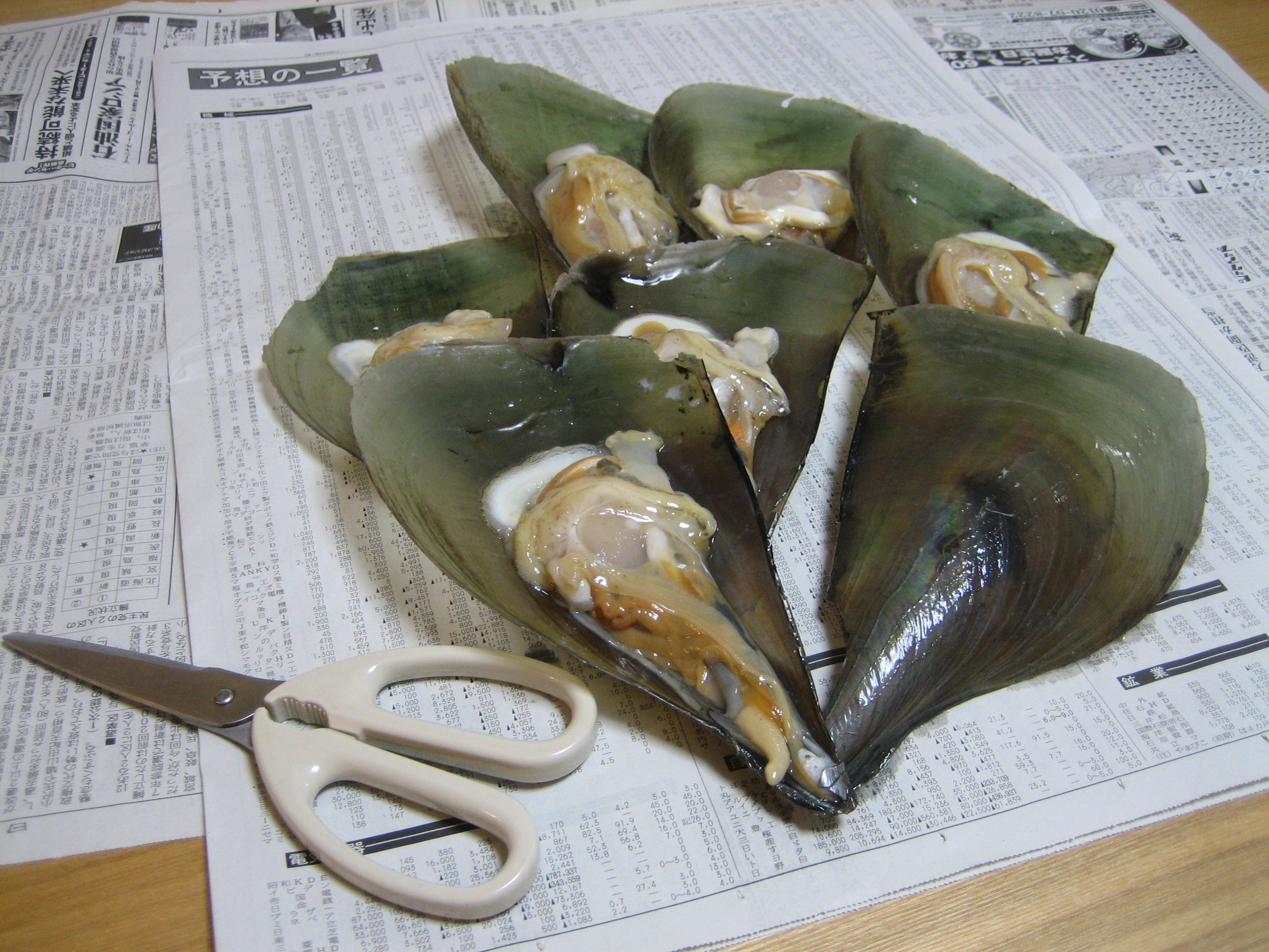 山口県の生活日記 山口